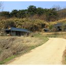 봉림정사(鳳林精舍) 이미지