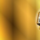 포인트 노래방 이미지