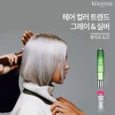 그레이(Grey) 이미지