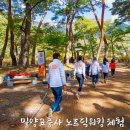 경남체험 밀양표충사 놀핏 노르딕워킹 체험 웰니스 힐링여행지 추천