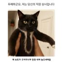 금주상사