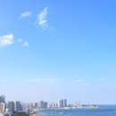 소노벨타워C비발디파크 네이버블로그