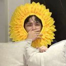 소울프로덕션 - 6078 | [260327] 데이식스 원필 청음회 리스닝 팝업 후기<Unpiltered Layers> | 미당첨 아티스트 탈출