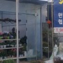 해서초등학교 이미지