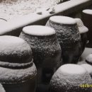 성림농원 이미지