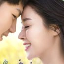 비컷 이미지