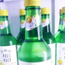 팡팡노래타운 이미지