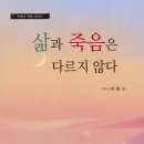 삶과 죽음 이미지