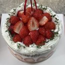 🎄 속초 크리스마스 케이크 맛집 발견! 베이킹포유 내돈내산 후기 🎂🍓