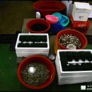 옥주상회 이미지