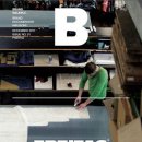 밸런스독B 이미지