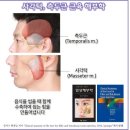 시청서울구강내과치과의원 네이버블로그