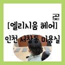 뽀그리헤어 | [미용실][인천 남동구 서창동] 서창 먹거리 타운 위치 분위기 좋은 "엘리시움 헤어" 일반펌 진행 후기