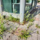 죽백근린공원1 이미지