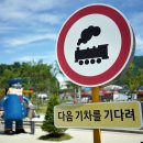 춘천명물닭갈비막국수 이미지