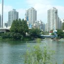 골드캣슬