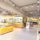 쓰리팩토리 안경 이미지