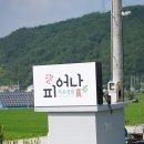 카페피어나 이미지