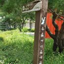 한강 걷기 : 두물머리 물레길 (양평군) - 북한강과 합수점 두물머리에서 한강 답사를 위한 여정을 열다..