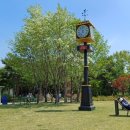 몽마르뜨 이미지