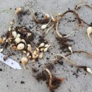 지노포트 이미지