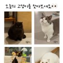 고영주택 이미지