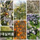 올리사랑실버홈 | [부산 요양원/추천/후기/가격] 해운대실버홈 부산 요양원 해운대실버홈, 친절한 서비스로 유명