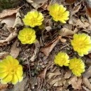 지금! 여수 이미지