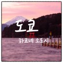 도쿄 하코네 소도시 온천 패키지여행 스타가이드 동행 노옵션 경비&일정