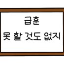 신화양꼬치 이미지