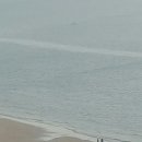 바다로 가는 사람들 이미지