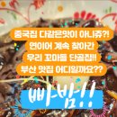 경보반점 이미지