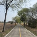 북면수변공원(야구장) 이미지