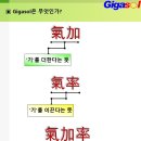 기가솔건강방 이미지