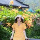 까페능소화 이미지