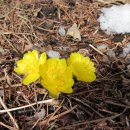 바우길 2구간 이미지