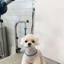 홍글몽글 이미지