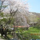 수리산둘레길 이미지