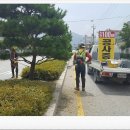 효림묘원 이미지