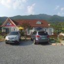 곰소그린 이미지