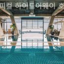 트로피컬하이드어웨이 | 제주 서귀포 호텔 트로피컬 하이드어웨이 호텔 모던실제체험후기리뷰모음