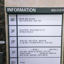경기광주헤어샵 추천 헤어 맛집 태전동미용실 본샵 염색 후기