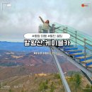 3급대성카프라자 | 발왕산 케이블카 할인 꿀팁과 주말 이용후기 w.스카이워크