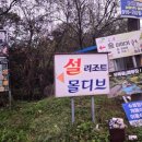 남이섬설리조트3 | 강원도 춘천 애견동반 펜션 &lt;남이섬설리조트&gt; 1박 내돈내산 후기🏡