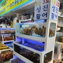 성진활어 | [속초맛집] 속초 대포항 관광수산시장맛집 대게세트 대포항횟집 &#39;성진활어&#39;