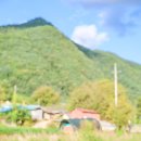 자올보듬 이미지