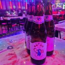 오비베어 이미지