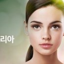 (주)이앤코리아