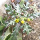 가덕마을 이미지