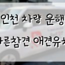 도그와트 이미지